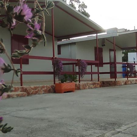 Villaggio Albergo Cervo Zapponeta Εξωτερικό φωτογραφία