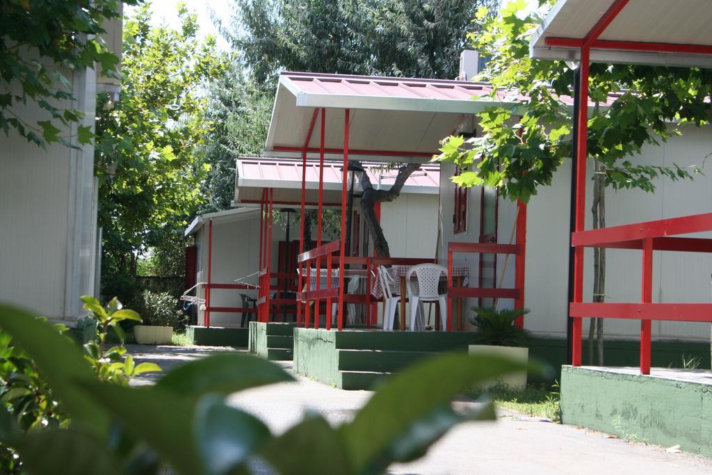 Villaggio Albergo Cervo Zapponeta Εξωτερικό φωτογραφία